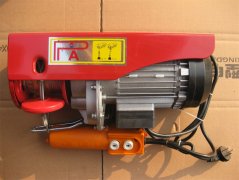 Mini electric hoist